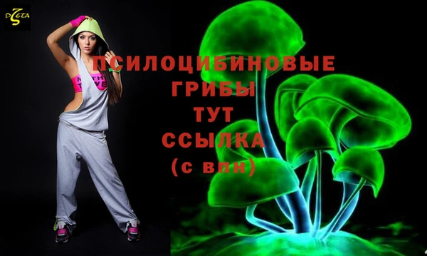 стаф Алексеевка
