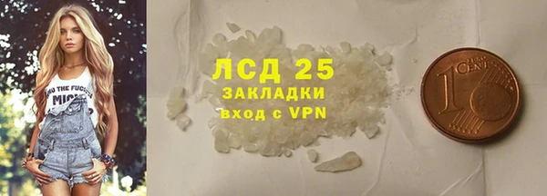 СК Алексин