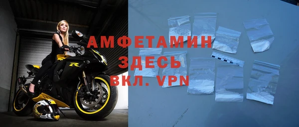 СК Алексин
