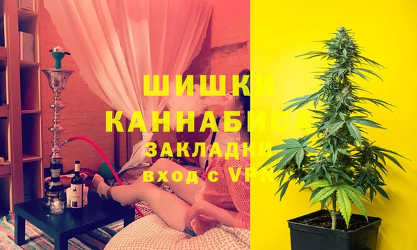 амф Алзамай