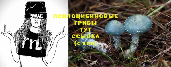 стаф Алексеевка