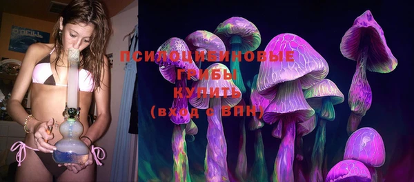 СК Алексин