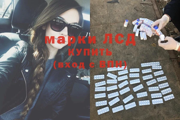 амф Алзамай