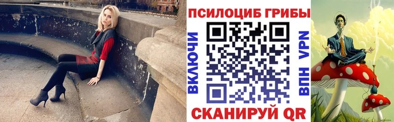 закладки  Кирс  Галлюциногенные грибы Cubensis 